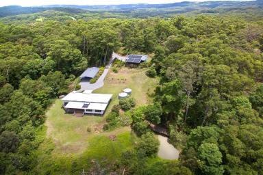 Acreage/Semi-rural For Sale - QLD - Eudlo - 4554 - TRANQUIL ACREAGE LIVING CLOSE TO PALMWOODS  (Image 2)