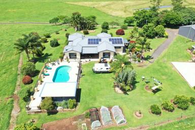 Mixed Farming For Sale - NSW - Kyogle - 2474 - 'THE BEST OF THE BEST"  (Image 2)