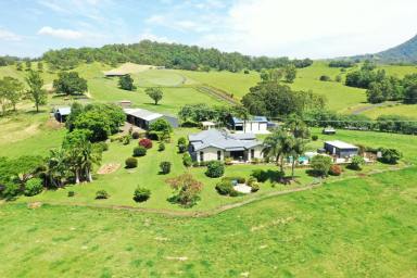 Mixed Farming For Sale - NSW - Kyogle - 2474 - 'THE BEST OF THE BEST"  (Image 2)