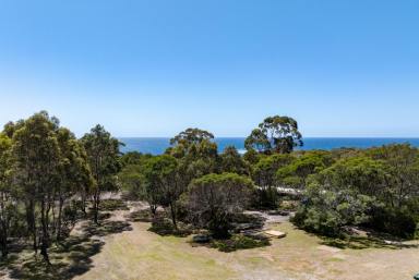 Residential Block For Sale - TAS - Bicheno - 7215 - A Coastal Gem Ready For Your Vision  (Image 2)