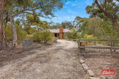 House For Sale - SA - Shea Oak Log - 5371 - ESCAPE TO COUNTRY LIVING – BIG 5389 SQM ALLOTMENT  (Image 2)