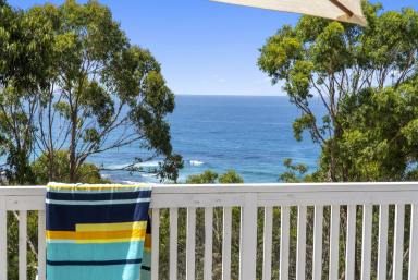 Acreage/Semi-rural For Sale - VIC - Wongarra - 3234 - CAPE VIEW - PRISTINE ACREAGE ON THE GREAT OCEAN ROAD  (Image 2)