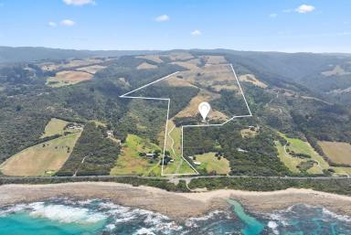 House For Sale - VIC - Wongarra - 3234 - CAPE VIEW - PRISTINE ACREAGE ON THE GREAT OCEAN ROAD  (Image 2)