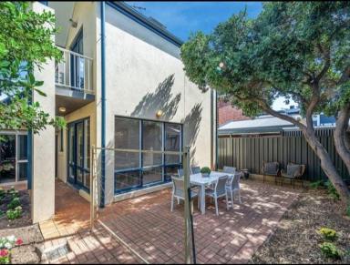 Townhouse For Lease - SA - Wayville - 5034 - Townhouse for Rent  (Image 2)