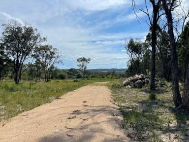 Residential Block For Sale - QLD - Thorndale - 4380 - Stanthorpe private rural retreat  (Image 2)