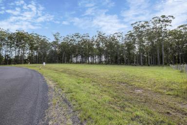 Residential Block For Sale - NSW - Verges Creek - 2440 - Build Your Dream Home!  (Image 2)