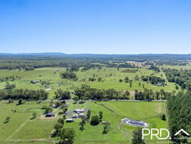 House For Sale - NSW - Leeville - 2470 - New Price! Expansive Living on 17+ Acres  (Image 2)