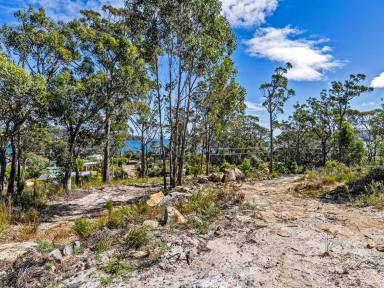 Residential Block For Sale - TAS - White Beach - 7184 - BUILD YOUR DREAM BEACH HOME!  (Image 2)