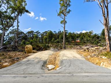 Residential Block For Sale - TAS - White Beach - 7184 - BUILD YOUR DREAM BEACH HOME!  (Image 2)