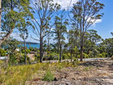 Residential Block For Sale - TAS - White Beach - 7184 - BUILD YOUR DREAM BEACH HOME!  (Image 2)