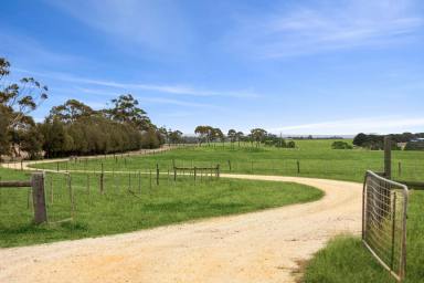 Lifestyle For Sale - VIC - Winchelsea - 3241 - Outstanding Equine / Lifestyle Property with Stunning Otway Views  (Image 2)