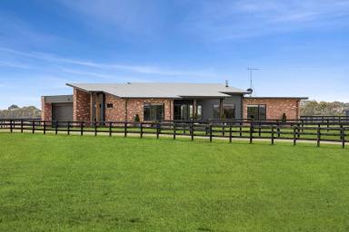 Lifestyle For Sale - VIC - Winchelsea - 3241 - Outstanding Equine / Lifestyle Property with Stunning Otway Views  (Image 2)