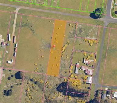 Residential Block For Sale - TAS - Waratah - 7321 - Wholesome Waratah  (Image 2)