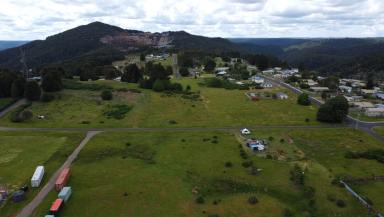 Residential Block For Sale - TAS - Waratah - 7321 - Wholesome Waratah  (Image 2)