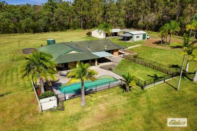 Acreage/Semi-rural For Sale - NSW - Melinga - 2430 - "Country Calm, Modern Comfort – A Rural Gem in a Beautiful Valley" (Image 2)