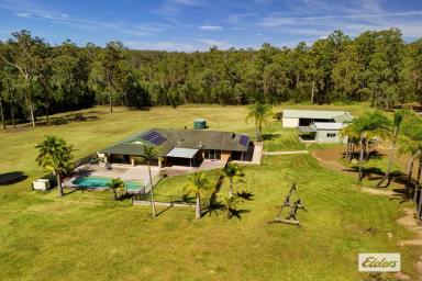 Acreage/Semi-rural For Sale - NSW - Melinga - 2430 - LUXURIOUS LIVING ON PICTURESQUE LIFESTYLE ACRES  (Image 2)