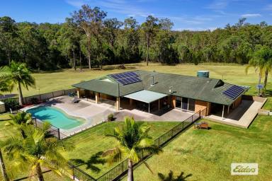 Acreage/Semi-rural For Sale - NSW - Melinga - 2430 - LUXURIOUS LIVING ON PICTURESQUE LIFESTYLE ACRES  (Image 2)