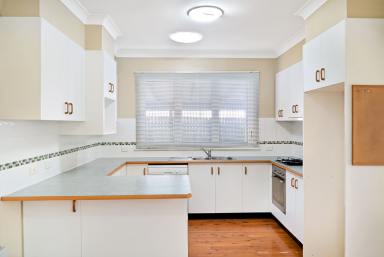 House For Lease - QLD - Rangeville - 4350 - Stunning Rangeville Beauty!  (Image 2)