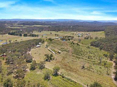 Mixed Farming For Sale - NSW - Boxers Creek - 2580 - Auction Saturday 1st March - Country Retreat in Boxers Creek  (Image 2)