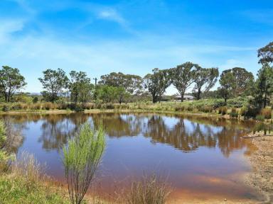 Mixed Farming For Sale - NSW - Boxers Creek - 2580 - Auction Saturday 1st March - Country Retreat in Boxers Creek  (Image 2)