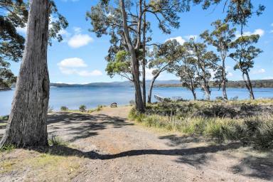 House For Sale - TAS - Port Arthur - 7182 - Serene Waterfront Lifestyle Awaits You  (Image 2)