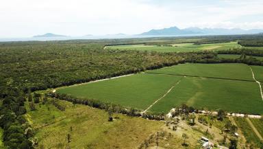 Residential Block For Sale - QLD - Kennedy - 4816 - Weekender sheds with power and water connected,   creek frontage & cattle yards - Be Quick!  (Image 2)