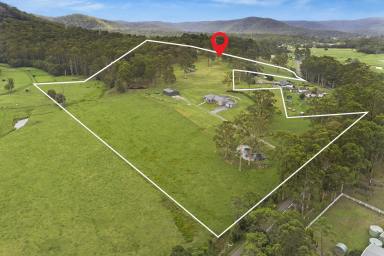 Lifestyle For Sale - NSW - Dooralong - 2259 - Tranquil Valley Views  (Image 2)