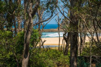 House For Sale - NSW - Barragga Bay - 2546 - Unbelievably Beautiful Coastal Home and Artistic Hideaway  (Image 2)