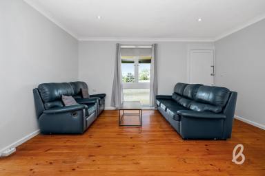 House For Sale - NSW - Singleton - 2330 - Value for money  (Image 2)