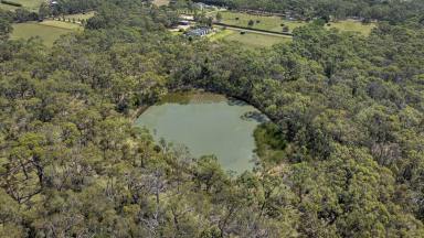 Residential Block For Sale - VIC - Tuerong - 3915 - Private Peninsula Retreat  (Image 2)