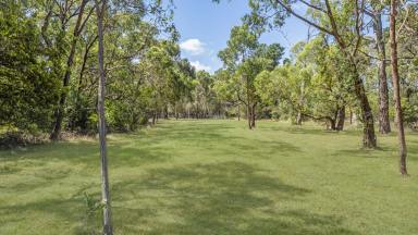 Residential Block For Sale - VIC - Tuerong - 3915 - Private Peninsula Retreat  (Image 2)