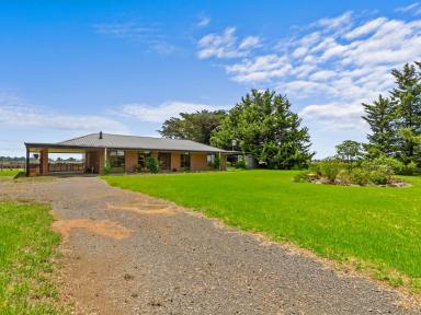 Acreage/Semi-rural For Sale - VIC - Myrtlebank - 3851 - Rural Feels - Town Convenience  (Image 2)