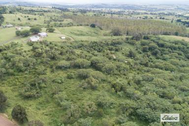 Residential Block For Sale - QLD - Tallegalla - 4340 - Just over 36 Acres - 2 Titles  (Image 2)