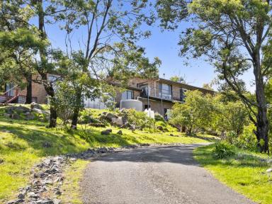 House For Sale - TAS - Sorell - 7172 - Sprawling family retreat with dual living, indoor pool, spa & sauna  (Image 2)