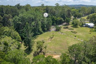 Residential Block For Sale - QLD - Cooroy - 4563 - Hinterland Acreage With Rainforest in Cooroy  (Image 2)