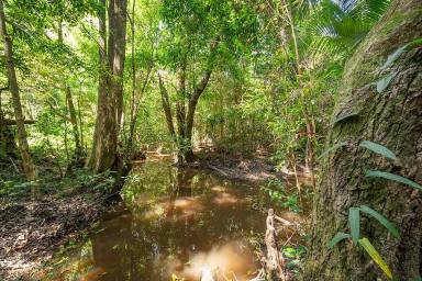 Residential Block For Sale - QLD - Cooroy - 4563 - Hinterland Acreage With Rainforest in Cooroy  (Image 2)