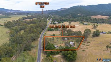 House Auction - VIC - Myrtleford - 3737 - Discover your dream home nestled in the serene landscapes of Alpine Shire!  (Image 2)