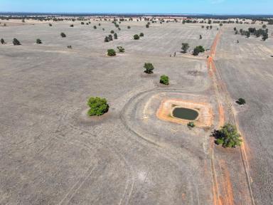 Mixed Farming For Sale - NSW - Boree Creek - 2652 - Scale, Water and Red Soil  (Image 2)