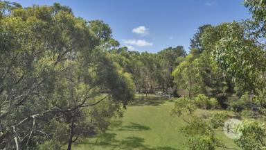 Acreage/Semi-rural For Sale - VIC - Tuerong - 3915 - Private Peninsula Retreat  (Image 2)