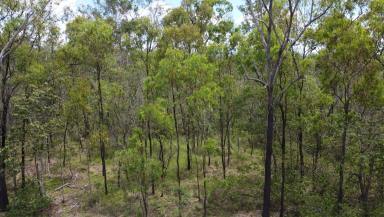 Cropping For Sale - QLD - Moolboolaman - 4671 - Your Private Paradise Awaits! 70.57 Acre Bush Block  (Image 2)