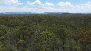 Cropping For Sale - QLD - Moolboolaman - 4671 - Your Private Paradise Awaits! 70.57 Acre Bush Block  (Image 2)