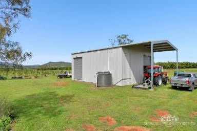 Horticulture For Sale - QLD - Dimbulah - 4872 - AFFORDABLE ENTRY LEVEL FARMING OPPORTUNITY  (Image 2)