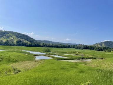 Residential Block For Sale - QLD - Daintree - 4873 - VIEWS, ACRES & LIVABLE SHED - WHAT MORE COULD YOU WANT  (Image 2)