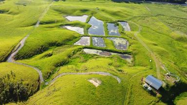 Residential Block For Sale - QLD - Daintree - 4873 - VERSATILE 37 ACRE PROPERTY: CATTLE, AQUACULTURE, FARMING  (Image 2)