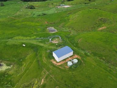 Residential Block For Sale - QLD - Daintree - 4873 - VIEWS, ACRES & LIVABLE SHED - WHAT MORE COULD YOU WANT  (Image 2)