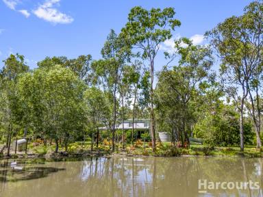 House For Sale - QLD - Pacific Haven - 4659 - Acreage Lifestyle with Sustainable Features - Steps from the Burrum River  (Image 2)