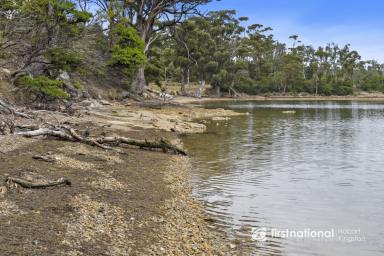 House For Sale - TAS - North Bruny - 7150 - Free Spirit Pods - A Waterside Sanctuary!  (Image 2)