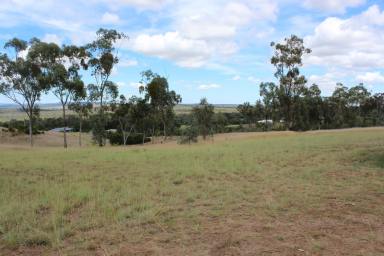 Residential Block For Sale - NSW - Warialda - 2402 - Lifestyle Blocks on Acerage  (Image 2)