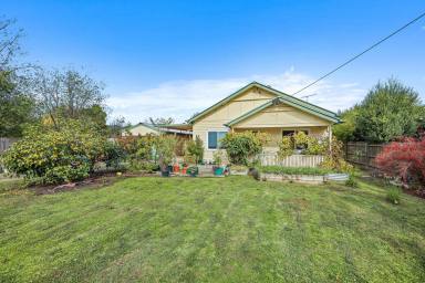 House For Sale - VIC - Trafalgar - 3824 - BUSINESS AS USUAL  (Image 2)