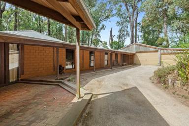 House Leased - VIC - Emerald - 3782 - A truly one of a kind mud brick family home, surrounded by nature!  (Image 2)